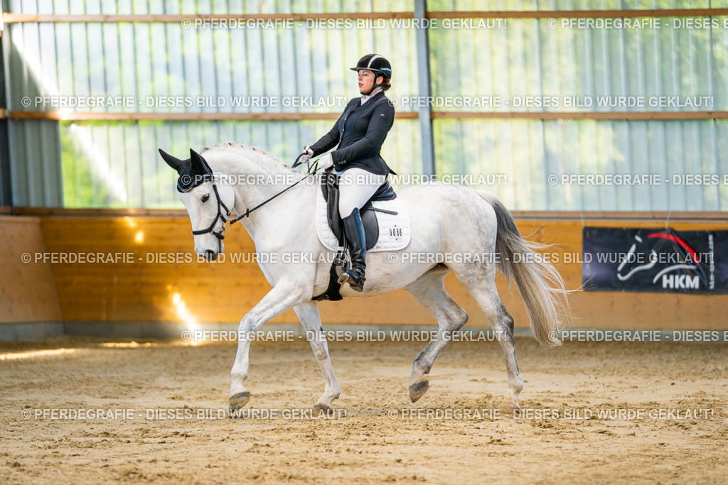 DSC06204 | Pferdegrafie