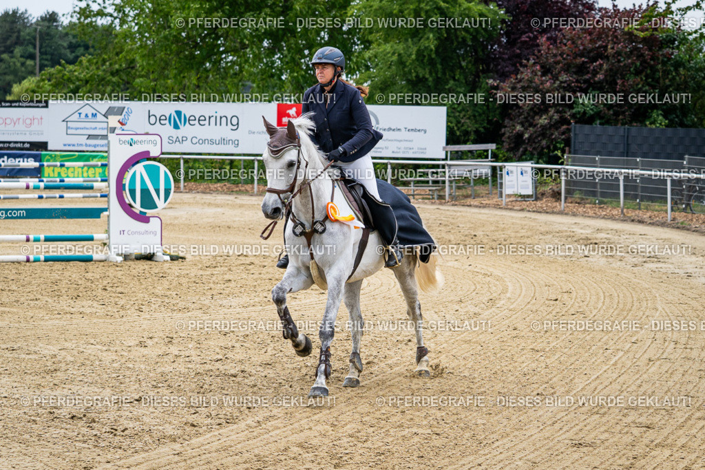 DSC06543 | Pferdegrafie