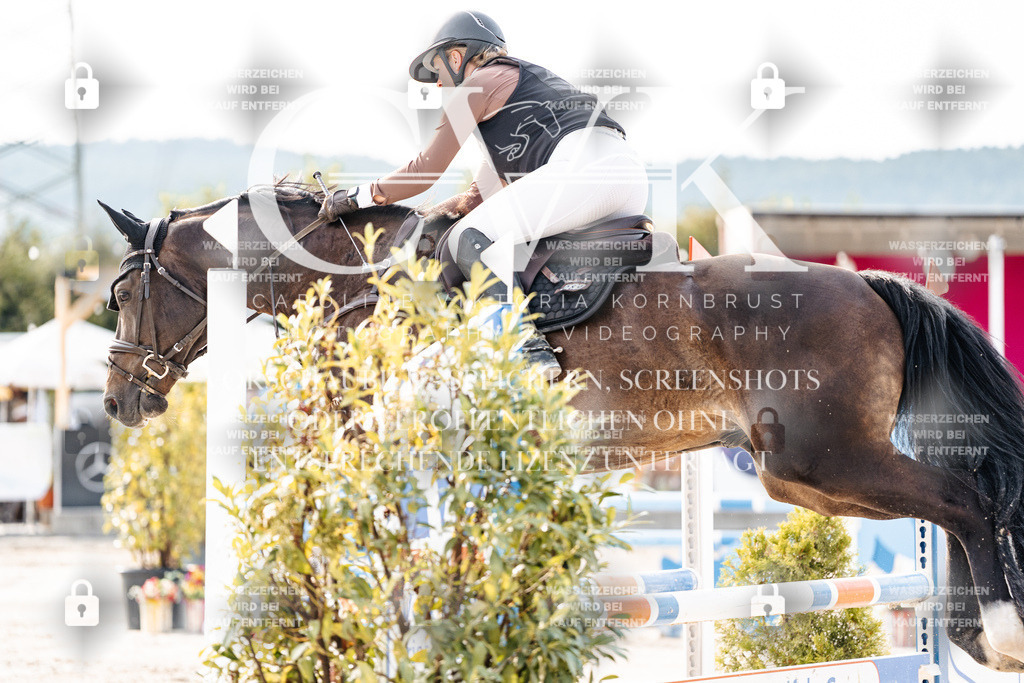 CK906579 | Turnierfotografie Pferdefotografie Trier Rheinland-Pfalz Pferdesport Reitsport Tierfotografie Sportfotografie Pferdevideo Pferdevideografie Equestrianvideography equestrianphotography  - Realisiert mit Pictrs.com