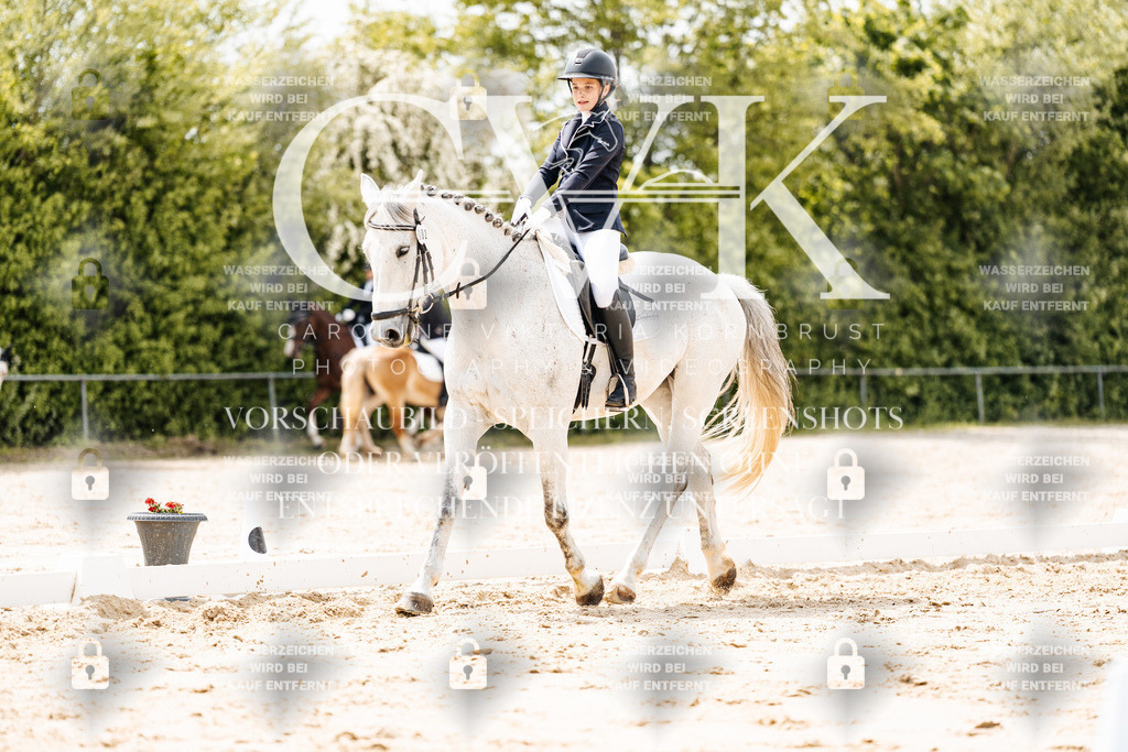 CK902132 | Turnierfotografie Pferdefotografie Trier Rheinland-Pfalz Pferdesport Reitsport Tierfotografie Sportfotografie Pferdevideo Pferdevideografie Equestrianvideography equestrianphotography  - Realisiert mit Pictrs.com