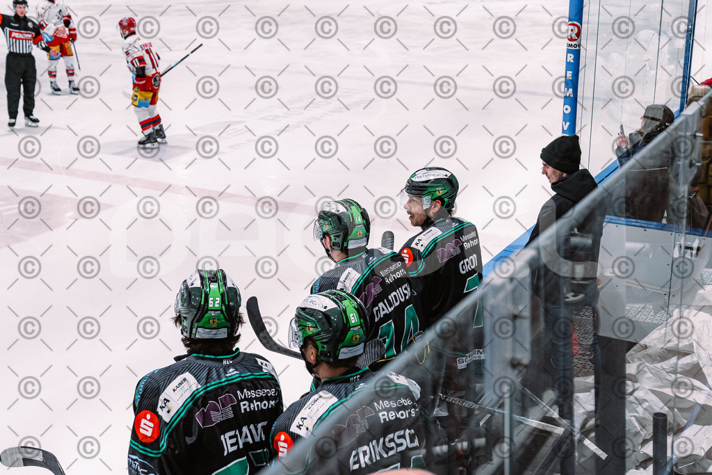 Alligators_vs_Deggendorf_30_11_2025-043 | Höchstadt Alligators Fotogalerie: Eishockey-Action aus Franken. Professionelle Spielfotos, Portraits & Stadionbilder zum Download. Jetzt entdecken! - Realisiert mit Pictrs.com