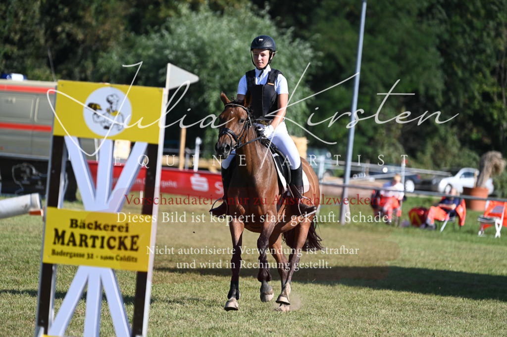 DSC_5305 | Pferde- und Turnierfotografie in Westsachsen. Pferdeportraits, Auftragszeichnungen und intuitive Kunst.