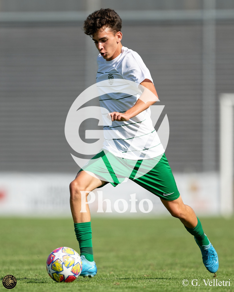 DZ9_6416 | Velletri Photo