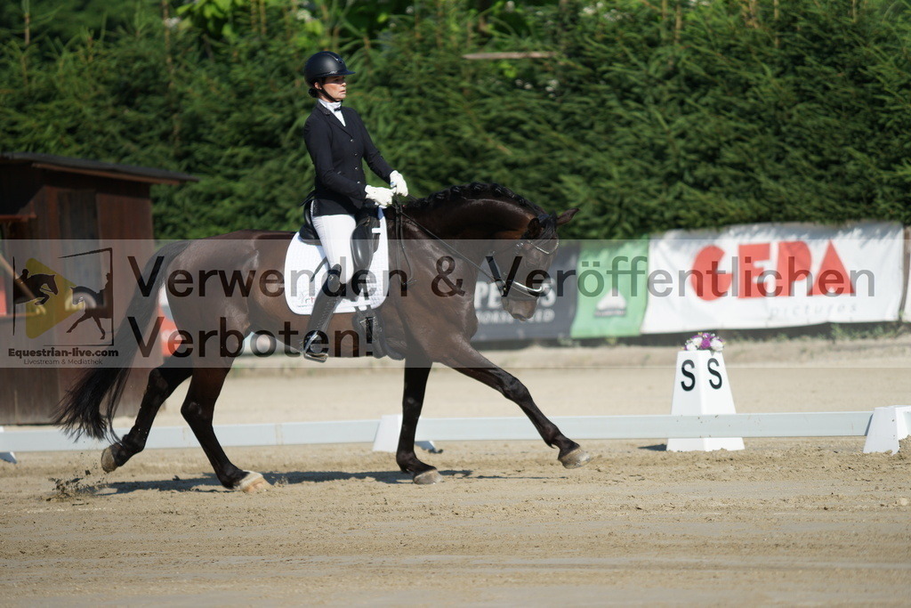 DSC02851 | equestrian-live-com