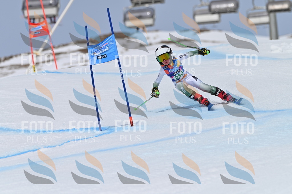 BGV_4619 | holidayphoto