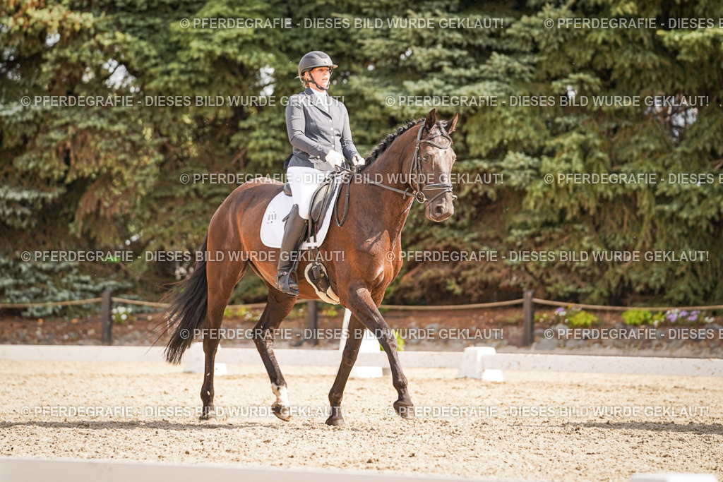 DSC01146 | Pferdegrafie