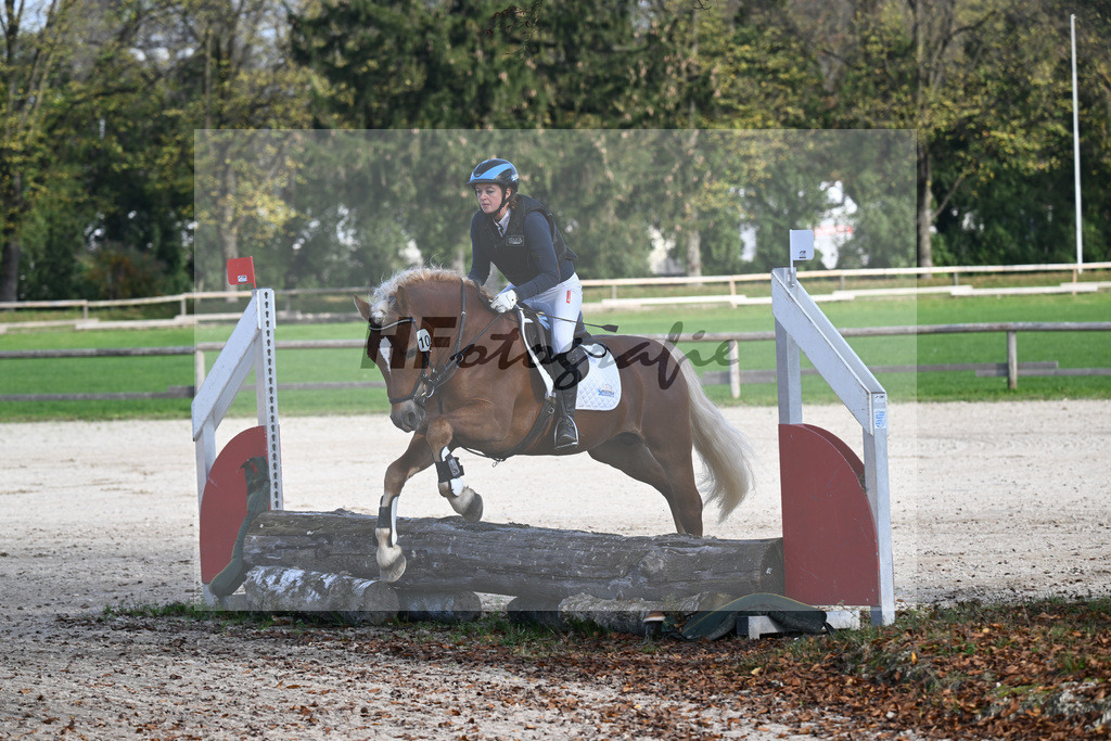 Kat-Nr. 10 Napoleon Bonaparte_Blum_44240622 | hf-fotografie - Realisiert mit Pictrs.com