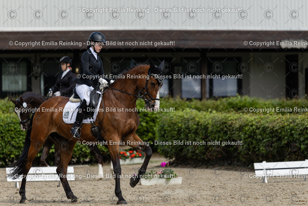 CL5A6451-2 | Emilia Reinking Fotografie - Realisiert mit Pictrs.com