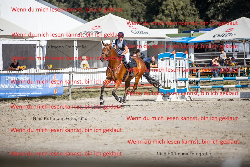 BK1A7333 | Turnierbilder Turnierfotos Nina Hüffmann Turnierfotografie Pferdefotografie Tierzeichnung Haustierzeichnung Pferdezeichnung Hundezeichnung Videograf  - Realisiert mit Pictrs.com