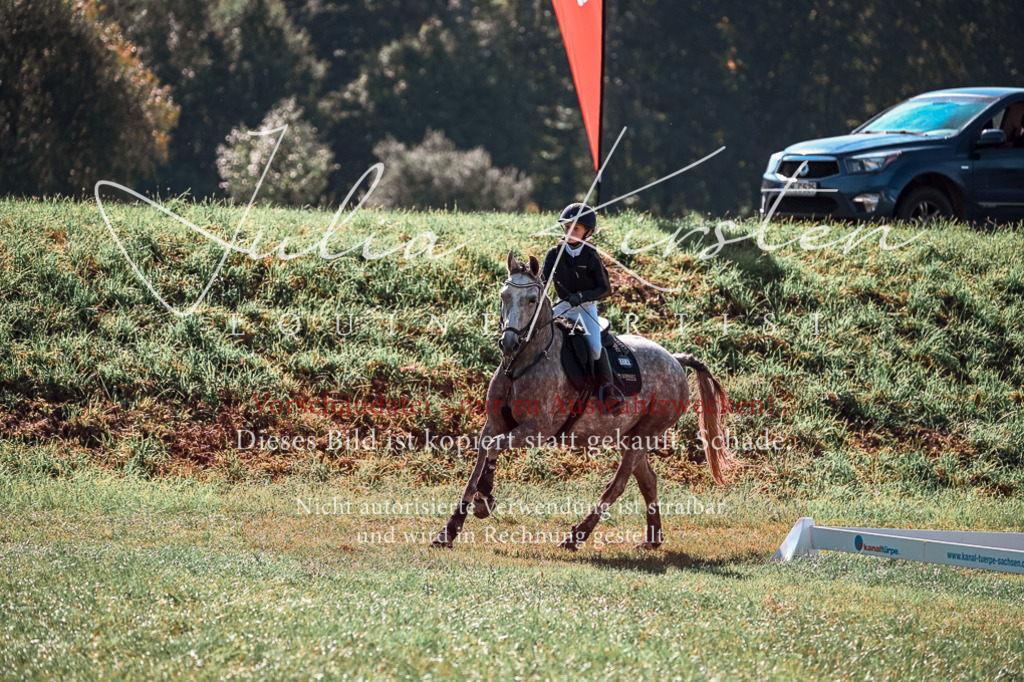 DSC_1141 | Pferde- und Turnierfotografie in Westsachsen. Pferdeportraits, Auftragszeichnungen und intuitive Kunst.