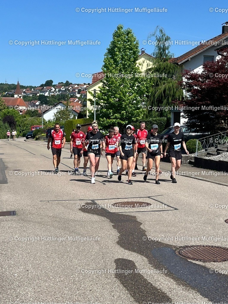 76518768-9d0c-44be-8b1a-5239554849dd | Hüttlinger Muffigelläufe - Realisiert mit Pictrs.com