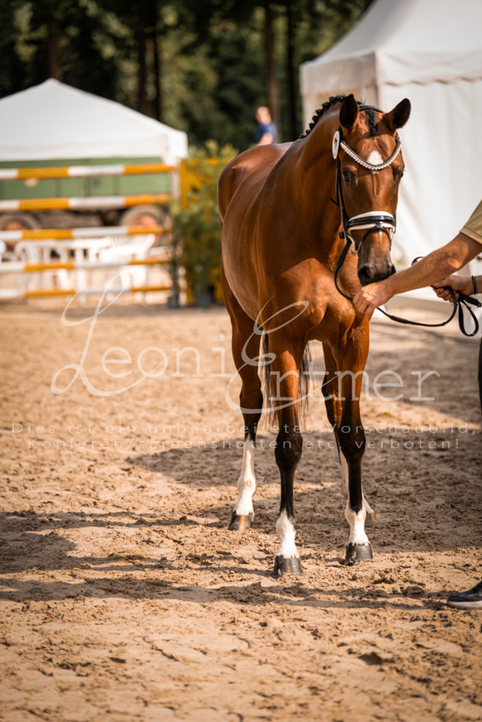 FrER00104 | Leoni Ertmer Photography - Realisiert mit Pictrs.com