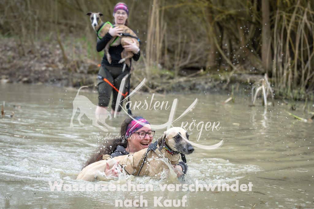 1637_ZZ95988 | kk-dogfotos