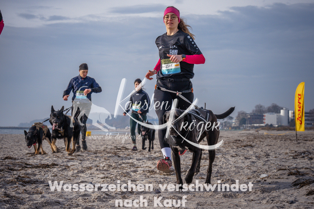 1012_ZZ94147 | kk-dogfotos