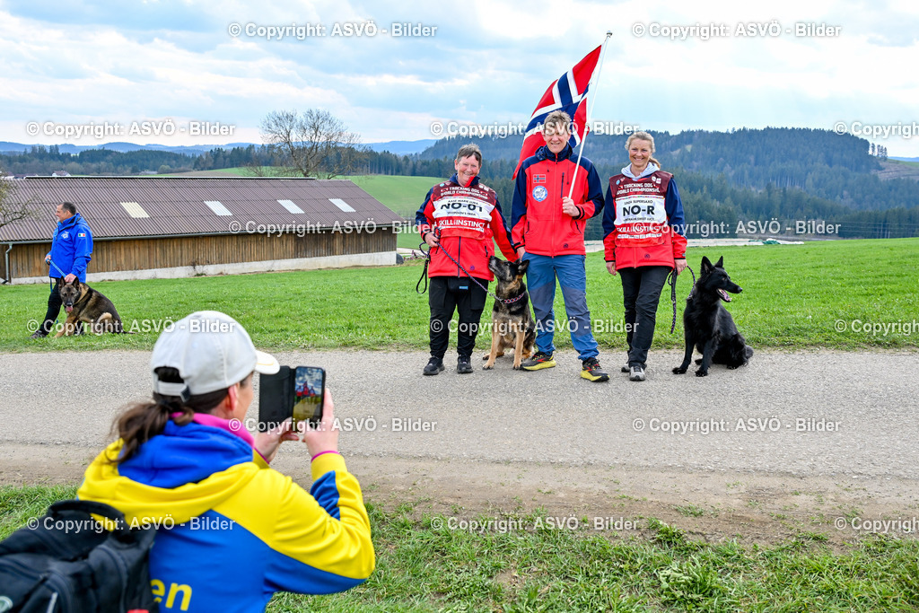 ASVÖ_ Tracking Dog World Championship 2025_ 05.04.2025-103 | bilder.asvo-sport - Realisiert mit Pictrs.com