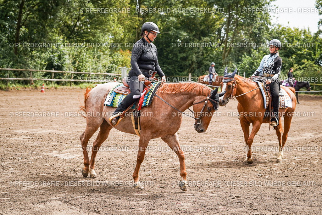 DSC05824 | Pferdegrafie