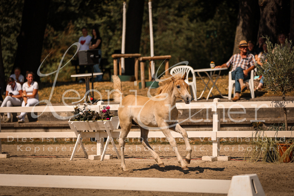 06.DoH00080 | Leoni Ertmer Photography - Realisiert mit Pictrs.com