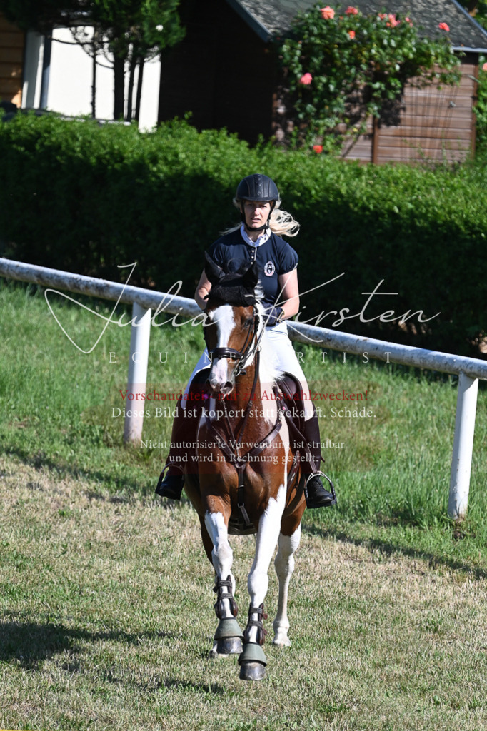 DSC_2386 | Pferde- und Turnierfotografie in Westsachsen. Pferdeportraits, Auftragszeichnungen und intuitive Kunst.