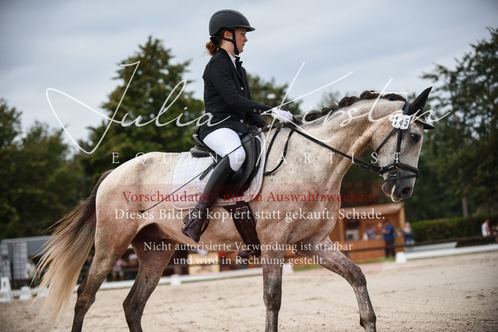 DSC_8233 | Pferde- und Turnierfotografie in Westsachsen. Pferdeportraits, Auftragszeichnungen und intuitive Kunst.