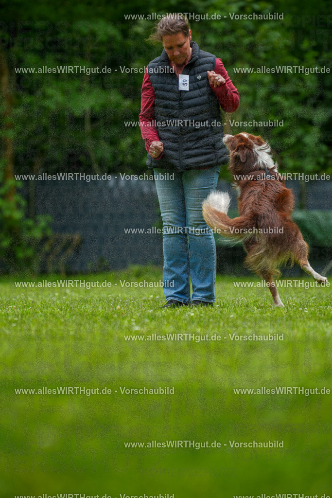 @allesWIRTHgut_Tierfotografie - www.allesWIRTHgut.de - 7R501500 | Professionelle Tierfotografie in Mönchengladbach von Daniel Wirth (allesWIRTHgut). Liebevolle & natürliche Bilder von Hunden & Katzen für unvergessliche Erinnerungen.