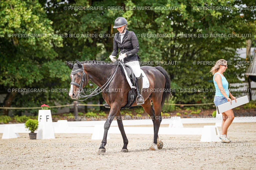 DSC05781 | Pferdegrafie