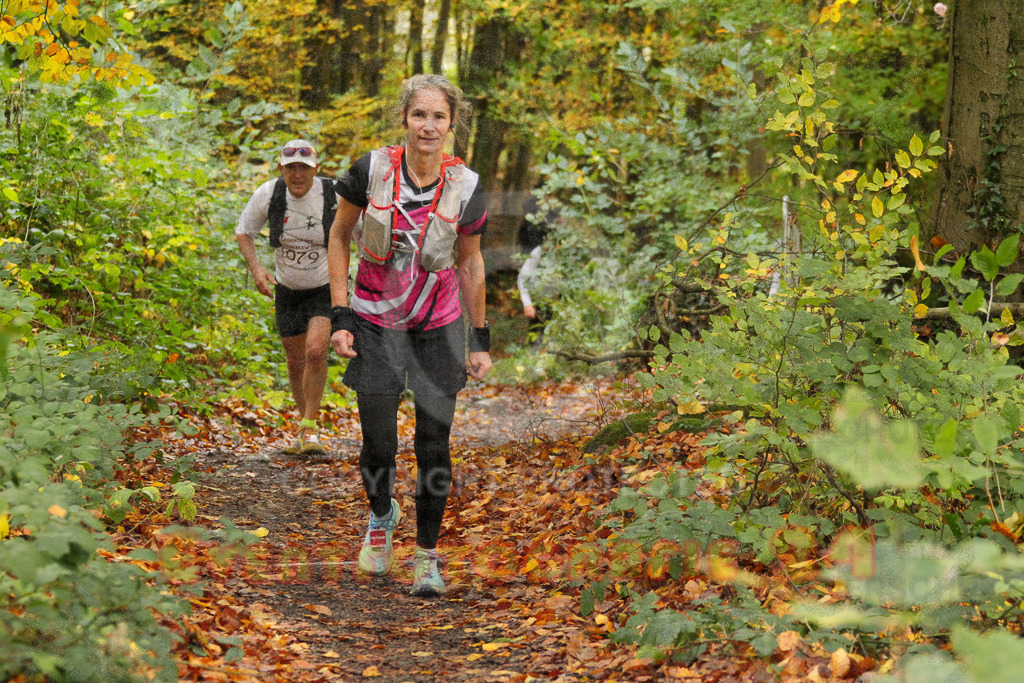 251026_1248_EV4_5841 | Sportfotografie im Rhein-Sieg Kreis, Köln, Bonn, NRW, Rheinland Pfalz, Hessen, etc. Unser Tätigkeitsfeld umfasst den Laufsport vom Volkslauf über den Marathon, Duathlon, Triathon bis zum Ultralauf wie Kölnpfad Ultra oder Schindertrail.