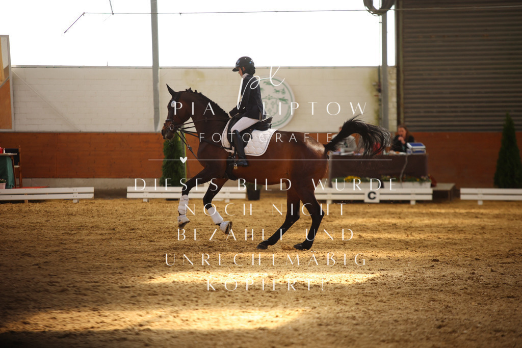 IMGT0733 | pl-fotografie