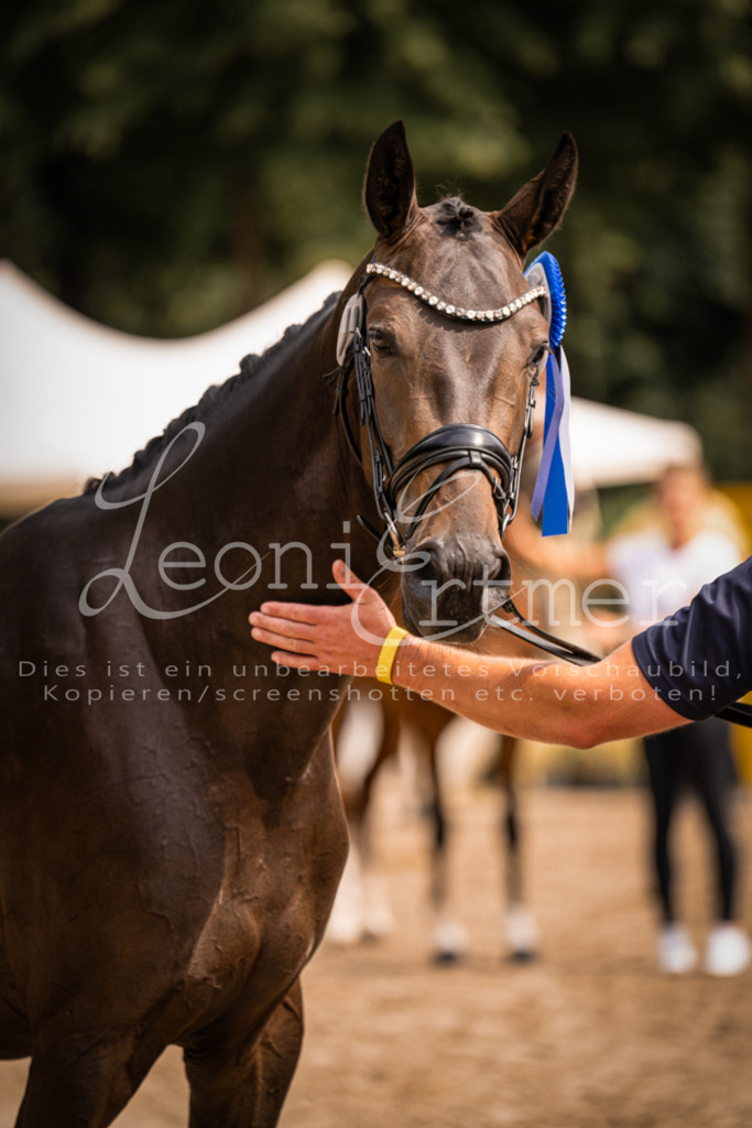 6.Fr00149 | Leoni Ertmer Photography - Realisiert mit Pictrs.com