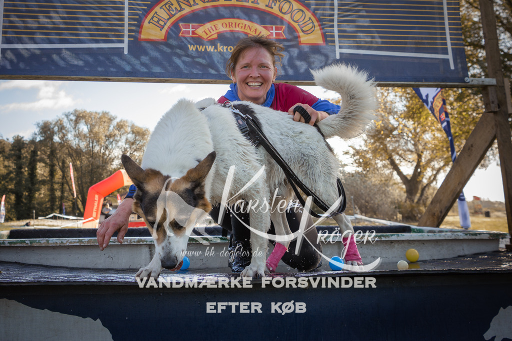 1227_ZZ96447-2 | kk-dogfotos