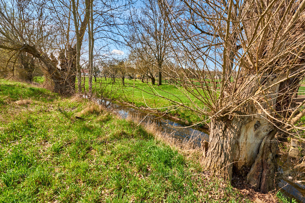 Der Elsterfloßgraben zwischen Ahlendorf und Trebnitz 10 | Bedeutsame Landschaften Deutschlands - Realisiert mit Pictrs.com