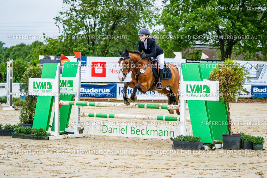 DSC01628 | Pferdegrafie