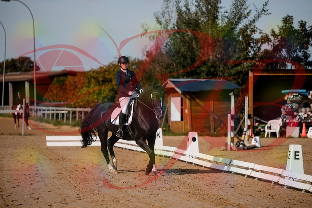 2026_10_03_Siefer-Hof_113340_Z63_20064262 | Professionelle Reitsport-, Turnier- und Eventfotografie von Robert Broda. Galerien mit ausgewählten und bearbeiteten Bildern direkt online ansehen und bestellen.