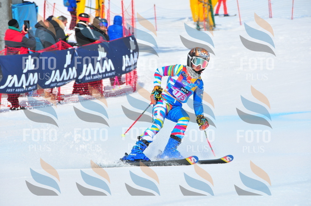 DSC_5310 | holidayphoto