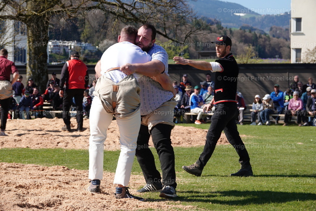 DSC02283 | Schwingen - Realisiert mit Pictrs.com