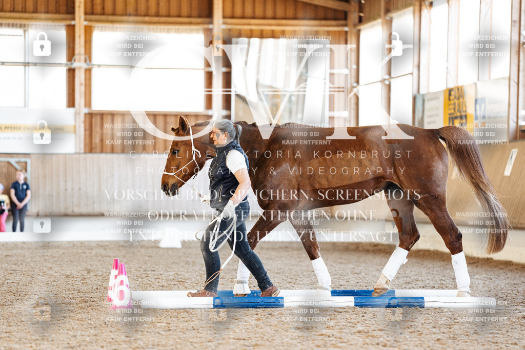 CK906123 | Turnierfotografie Pferdefotografie Trier Rheinland-Pfalz Pferdesport Reitsport Tierfotografie Sportfotografie Pferdevideo Pferdevideografie Equestrianvideography equestrianphotography  - Realisiert mit Pictrs.com