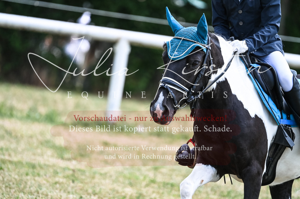 DSC_9748 | Pferde- und Turnierfotografie in Westsachsen. Pferdeportraits, Auftragszeichnungen und intuitive Kunst.