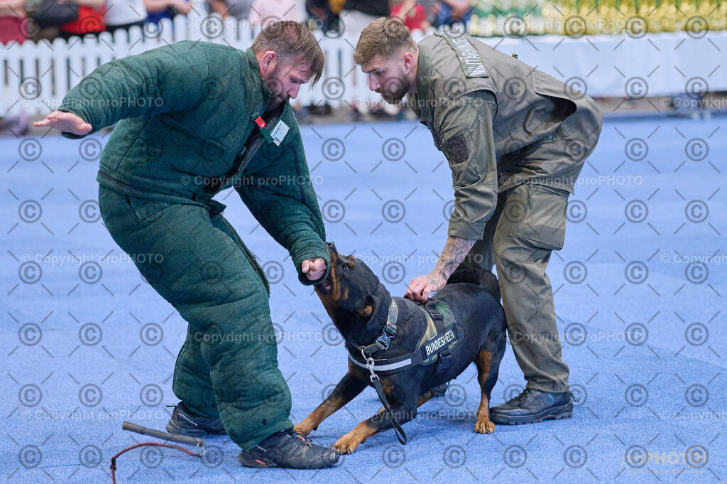 202406_ÖKV-IHA-Tulln24_DSC_3613 | proPHOTO - Realisiert mit Pictrs.com
