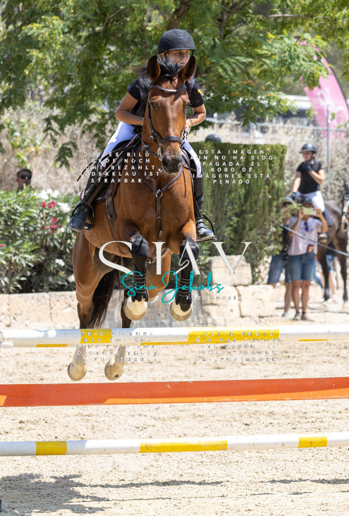 IMG_7658 | s-jay-photography - Realisiert mit Pictrs.com