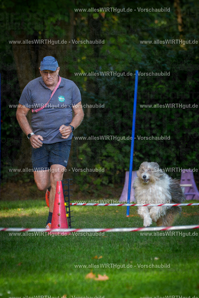 THS_Turnier_27-09-2026-allesWIRTHgut_Tierfotografie-7R506046 | Professionelle Tierfotografie in Mönchengladbach von Daniel Wirth (allesWIRTHgut). Liebevolle & natürliche Bilder von Hunden & Katzen für unvergessliche Erinnerungen.