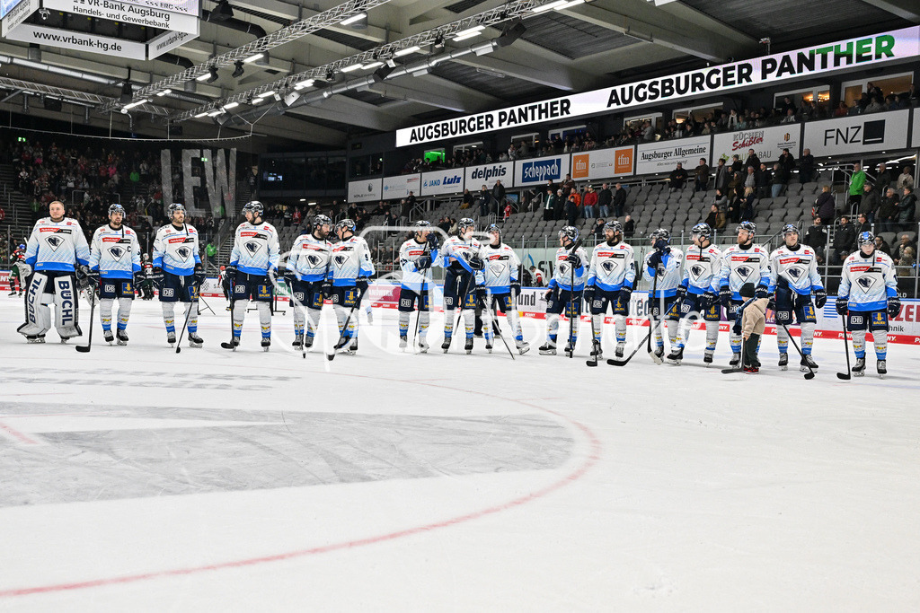 Augsburger Panther - ERC Ingolstadt | Das Team aus Ingolstadt feiert zusammen mit den Fans den Auswaertssieg in Augsburg / DEL: Augsburger Panther - ERC Ingolstadt, Curt Frenzel Stadion am 26.01.2025