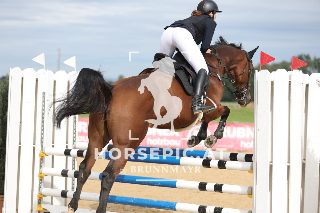 0P6A4235 | Willkommen bei Brunnmayr - Design & Fotografie – Ihrem Spezialisten für Reitturniere und Pferdeveranstaltungen in Oberösterreich, Salzburg und Bayern! Seit über 17 Jahren sind wir leidenschaftlich dabei.