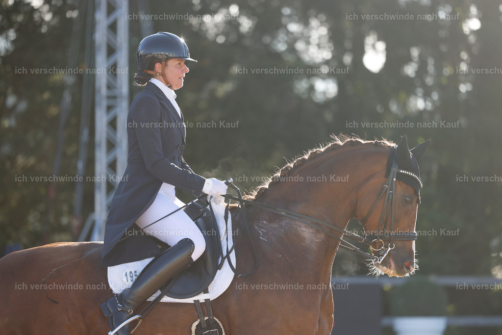 09_1-195-DRESSUR  S_  -StoibPH-5513 | working equitationturnier fotograf videograf stoibphotography marixx film working equitation deutschland reitsport turnierfotografie eventfotografie equestrian events