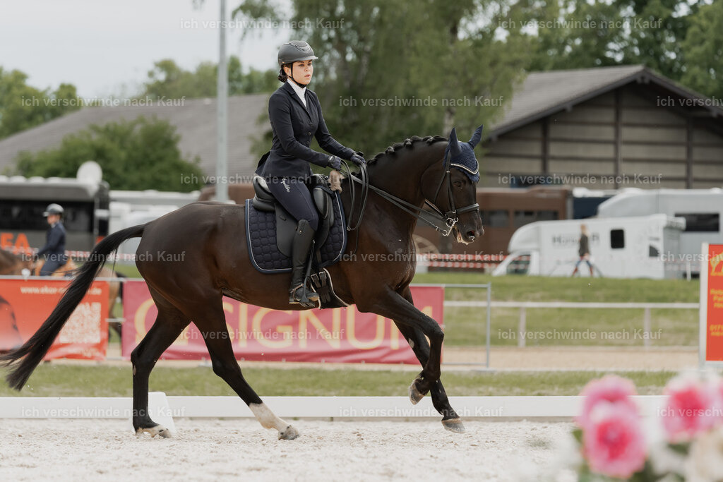 WE_DR_Stoib_316_PI2025_443 | Pferd International München 2025