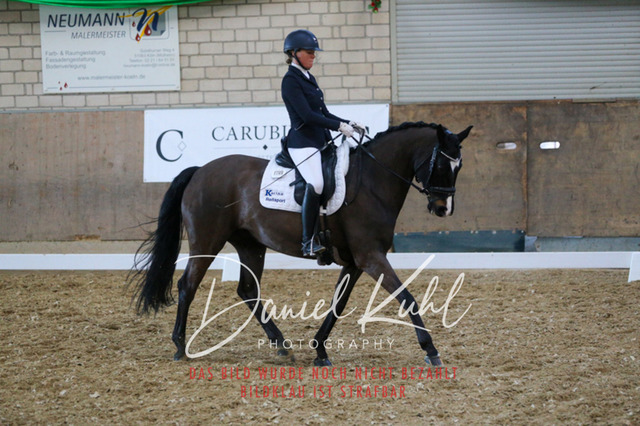 IMG_2669 | Turnierfotos kaufen im Webshop von Daniel Kuhl Photography – entdecke professionelle Reitsportfotos aus Turnieren & Events. Hochwertige Turnierbilder online bestellen & sichern. Jetzt Fotos von Reitsportturnieren kaufen!