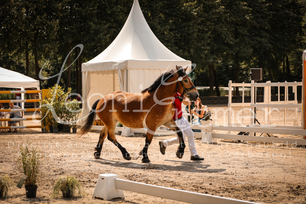 2.Sa00023 | Leoni Ertmer Photography - Realisiert mit Pictrs.com