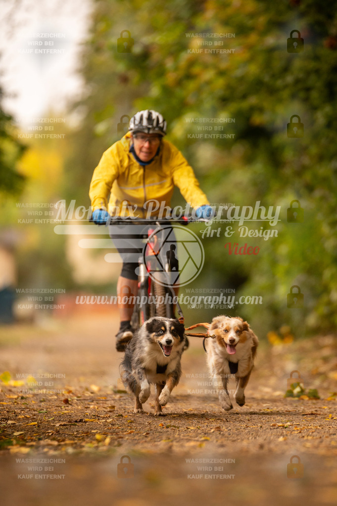CDLBDB_14_10_2023_Samedi-209 | PayLife