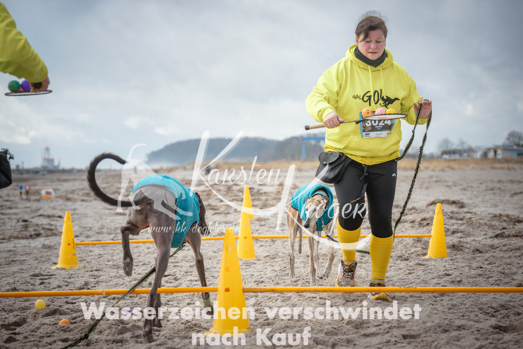 1145_ZZ90618 | kk-dogfotos