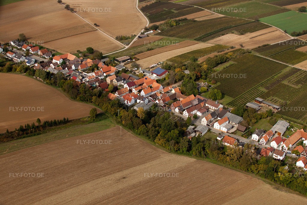 Luftbild: landwirtschaftlichen Feldern und Nutzflächen in Vollmersweiler im Bundesland Rheinland-Pfalz in Deutschland. Foto: IMG_22519.jpg vom 15.10.2009 durch Werner Riehm/FLY-FOTO.de