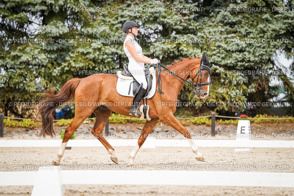 DSC07374 | Pferdegrafie