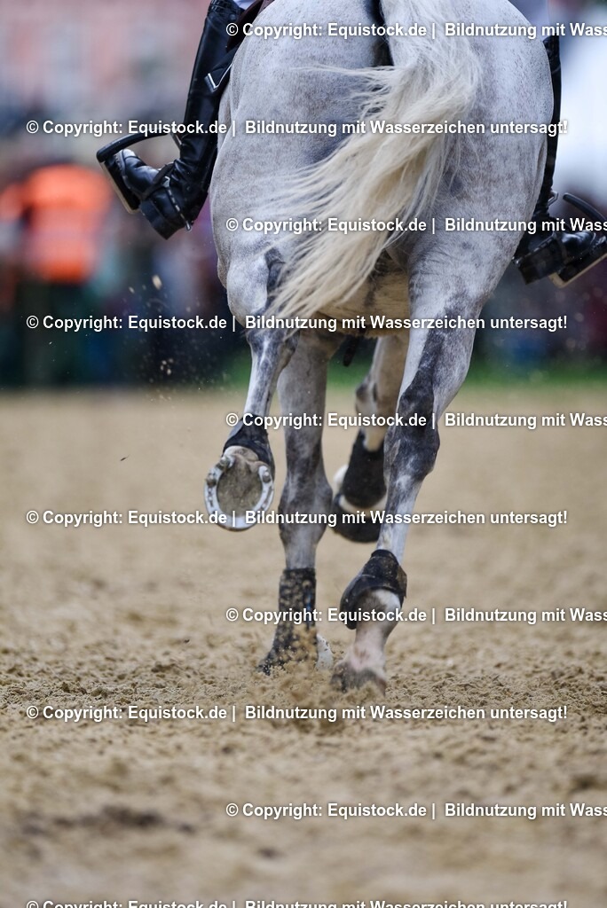 TS_20250607_27_CCI4_Gelände_0426 | Foto: Thomas Hartig